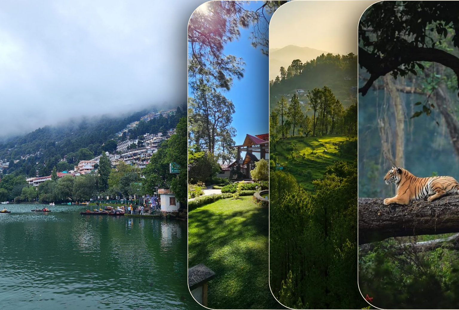 8 Days Nainital Binsar Chaukori Munsiyari Kausani Corbett Tour